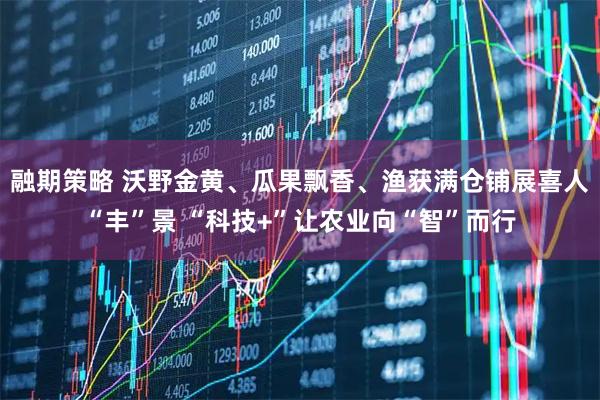 融期策略 沃野金黄、瓜果飘香、渔获满仓铺展喜人“丰”景 “科技+”让农业向“智”而行