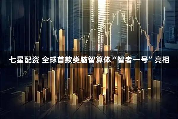 七星配资 全球首款类脑智算体“智者一号”亮相