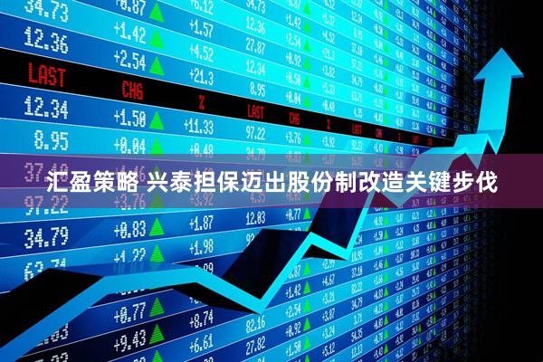 汇盈策略 兴泰担保迈出股份制改造关键步伐