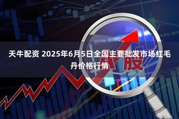 天牛配资 2025年6月5日全国主要批发市场红毛丹价格行情