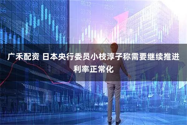 广禾配资 日本央行委员小枝淳子称需要继续推进利率正常化