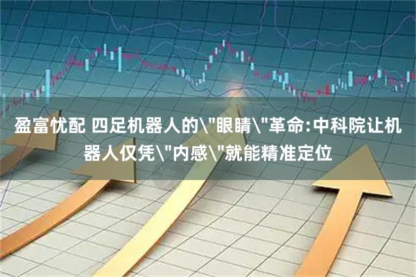 盈富忧配 四足机器人的